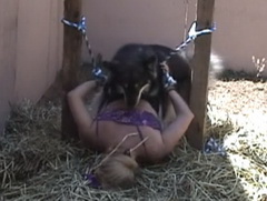 Dog-Sex คนกับสัตว์ คนกับหมา คลิปโป๊ฝรั่ง